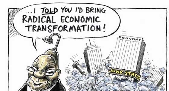 Zuma_Radical_Transformation